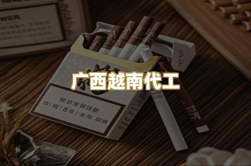 广西越南代工